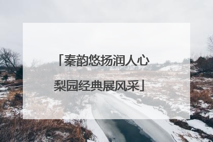 秦韵悠扬润人心 梨园经典展风采