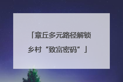 章丘多元路径解锁乡村“致富密码”