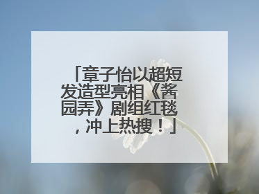 章子怡以超短发造型亮相《酱园弄》剧组红毯，冲上热搜！