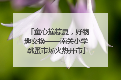童心撞粽夏，好物趣交换——南关小学跳蚤市场火热开市