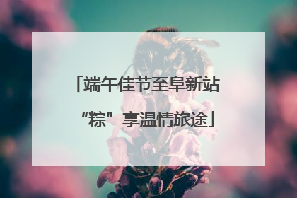 端午佳节至阜新站“粽”享温情旅途