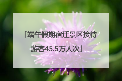 端午假期宿迁景区接待游客45.5万人次