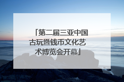 第二届三亚中国古玩暨钱币文化艺术博览会开幕