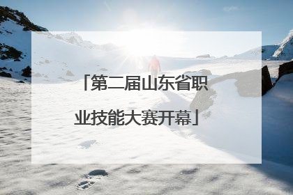 第二届山东省职业技能大赛开幕