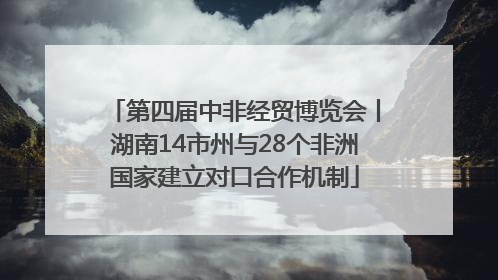 第四届中非经贸博览会丨湖南14市州与28个非洲国家建立对口合作机制