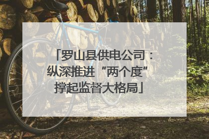 罗山县供电公司：纵深推进“两个度” 撑起监督大格局