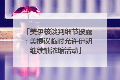 美伊核谈判细节披露：美提议临时允许伊朗继续铀浓缩活动