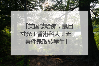 美国禁哈佛，鼠目寸光！香港科大：无条件录取转学生