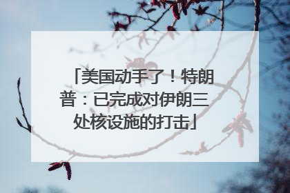 美国动手了！特朗普：已完成对伊朗三处核设施的打击