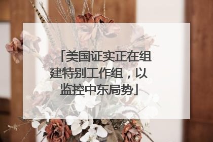美国证实正在组建特别工作组，以监控中东局势