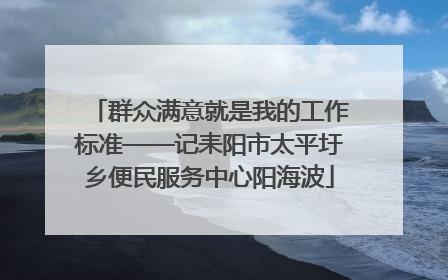 群众满意就是我的工作标准——记耒阳市太平圩乡便民服务中心阳海波