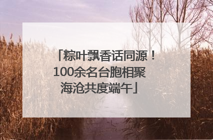 粽叶飘香话同源！100余名台胞相聚海沧共度端午