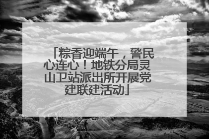 粽香迎端午，警民心连心！地铁分局灵山卫站派出所开展党建联建活动