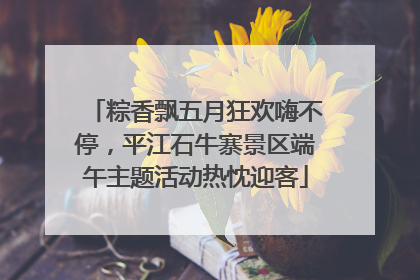 粽香飘五月狂欢嗨不停，平江石牛寨景区端午主题活动热忱迎客