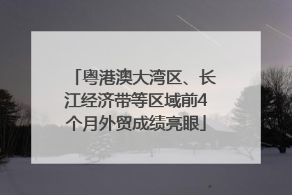 粤港澳大湾区、长江经济带等区域前4个月外贸成绩亮眼