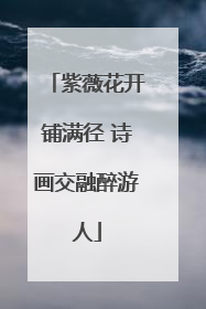紫薇花开铺满径 诗画交融醉游人