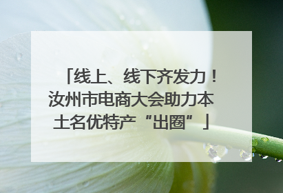线上、线下齐发力！汝州市电商大会助力本土名优特产“出圈”