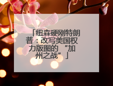 纽森硬刚特朗普：改写美国权力版图的 “加州之战”