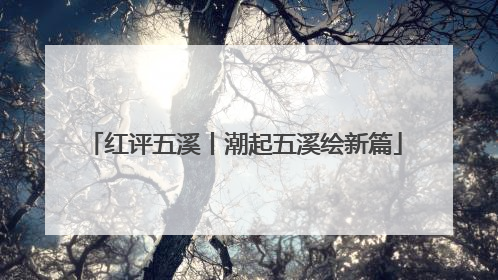 红评五溪丨潮起五溪绘新篇
