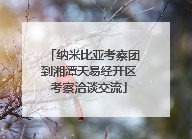 纳米比亚考察团到湘潭天易经开区考察洽谈交流
