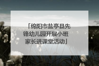 绵阳市盐亭县先锋幼儿园开展小班家长进课堂活动