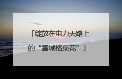绽放在电力天路上的“雪域格桑花”