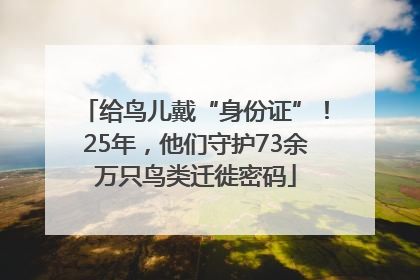 给鸟儿戴“身份证”！25年，他们守护73余万只鸟类迁徙密码
