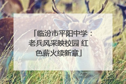 临汾市平阳中学：老兵风采映校园 红色薪火续新章