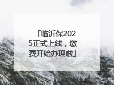 临沂保2025正式上线，缴费开始办理啦