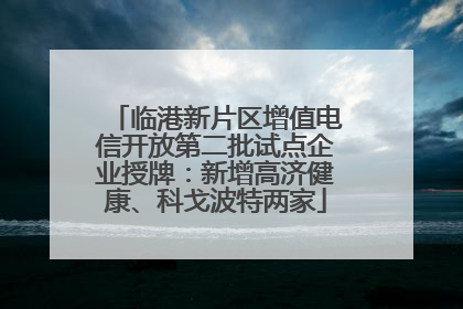 临港新片区增值电信开放第二批试点企业授牌：新增高济健康、科戈波特两家