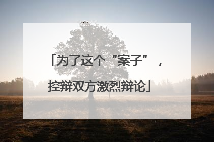 为了这个“案子”，控辩双方激烈辩论