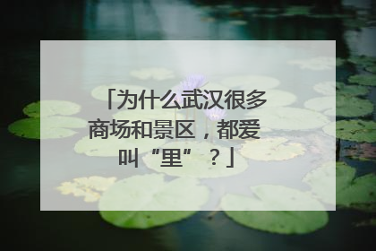 为什么武汉很多商场和景区，都爱叫“里”？