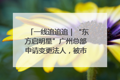 一线追追追｜“东方启明星”广州总部申请变更法人，被市场监管部门限制