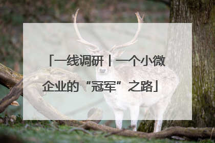 一线调研丨一个小微企业的“冠军”之路