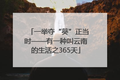 一举夺“葵”正当时——有一种叫云南的生活之365天