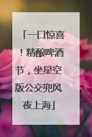 一口惊喜！精酿啤酒节，坐星空版公交兜风夜上海