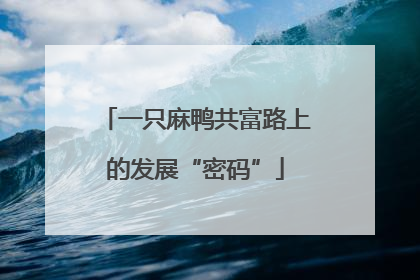 一只麻鸭共富路上的发展“密码”