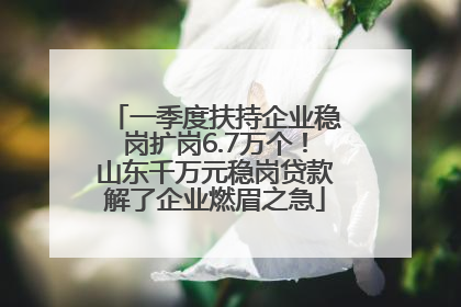 一季度扶持企业稳岗扩岗6.7万个！山东千万元稳岗贷款解了企业燃眉之急