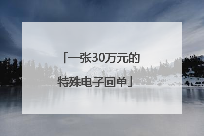 一张30万元的特殊电子回单