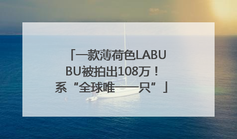 一款薄荷色LABUBU被拍出108万！系“全球唯一一只”