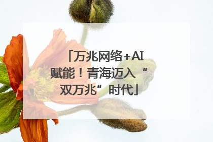 万兆网络+AI赋能！青海迈入“双万兆”时代