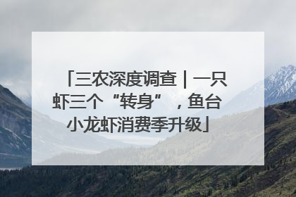 三农深度调查｜一只虾三个“转身”，鱼台小龙虾消费季升级
