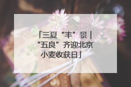 三夏“丰”景|“五良”齐迎北京小麦收获日