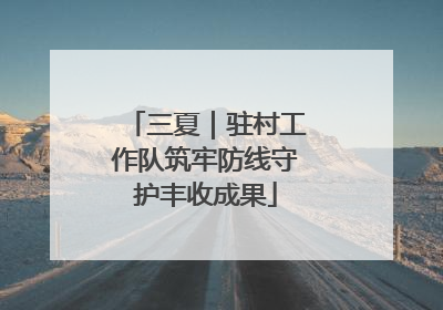 三夏｜驻村工作队筑牢防线守护丰收成果
