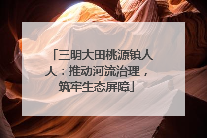 三明大田桃源镇人大：推动河流治理，筑牢生态屏障