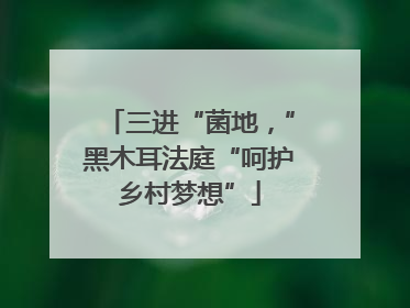 三进“菌地，”黑木耳法庭“呵护乡村梦想”