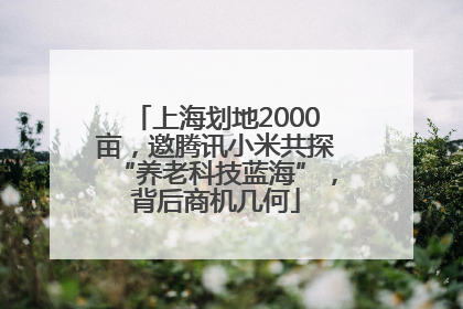 上海划地2000亩，邀腾讯小米共探“养老科技蓝海”，背后商机几何