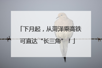 下月起，从菏泽乘高铁可直达“长三角”！