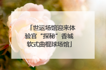 世运场馆迎来体验官“探秘”香城软式曲棍球场馆