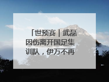 世预赛｜武磊因伤离开国足集训队，伊万不再补招顶替球员